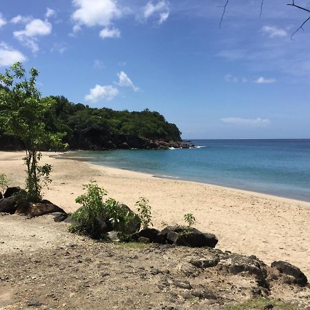 Appartamento Les Lianes De Corail Deshaies Esterno foto